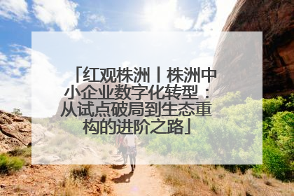 红观株洲丨株洲中小企业数字化转型：从试点破局到生态重构的进阶之路