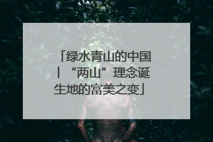 绿水青山的中国丨“两山”理念诞生地的富美之变