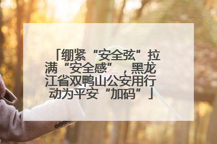 绷紧“安全弦”拉满“安全感”，黑龙江省双鸭山公安用行动为平安“加码”