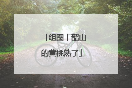 组图丨韶山的黄桃熟了