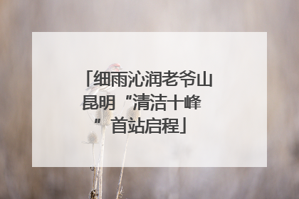细雨沁润老爷山 昆明“清洁十峰”首站启程