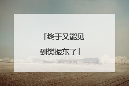 终于又能见到樊振东了