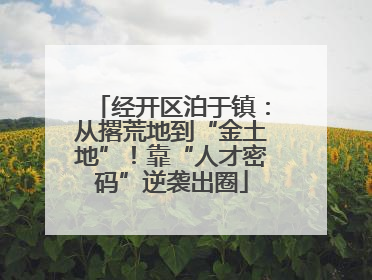 经开区泊于镇：从撂荒地到“金土地”！靠“人才密码”逆袭出圈