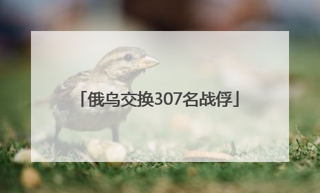 俄乌交换307名战俘