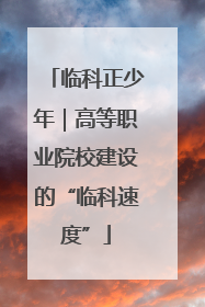 临科正少年｜高等职业院校建设的“临科速度”