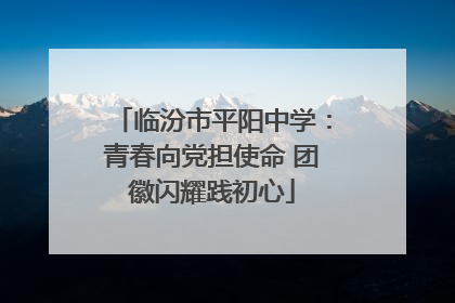 临汾市平阳中学：青春向党担使命 团徽闪耀践初心