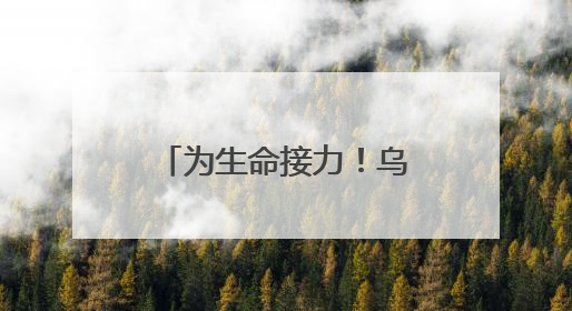 为生命接力！乌镇小伙沈佳斌完成造血干细胞捐献