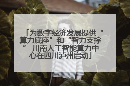 为数字经济发展提供“算力底座”和“智力支撑” 川南人工智能算力中心在四川泸州启动