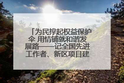 为民撑起权益保护伞 用情铺就和谐发展路——记全国先进工作者、新区项目建设中心干部卢小勇