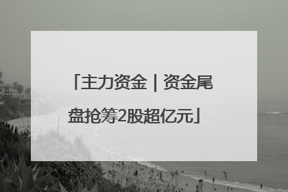 主力资金｜资金尾盘抢筹2股超亿元