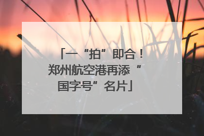 一“拍”即合！郑州航空港再添“国字号”名片