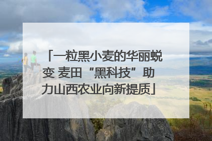 一粒黑小麦的华丽蜕变 麦田“黑科技”助力山西农业向新提质