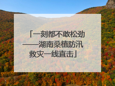 一刻都不敢松劲——湖南桑植防汛救灾一线直击
