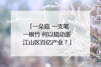 一朵菇 一支笔 一根竹 何以撬动浙江山区百亿产业？