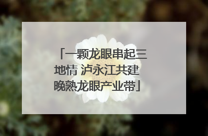 一颗龙眼串起三地情 泸永江共建晚熟龙眼产业带