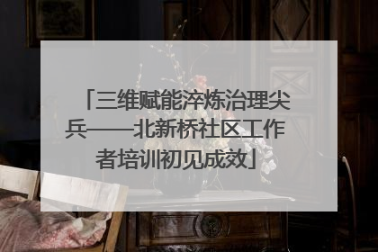 三维赋能淬炼治理尖兵——北新桥社区工作者培训初见成效