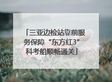 三亚边检站靠前服务保障“东方红3”科考船顺畅通关
