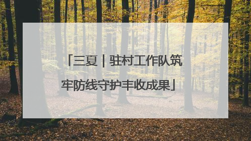 三夏｜驻村工作队筑牢防线守护丰收成果