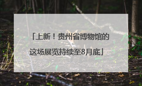 上新！贵州省博物馆的这场展览持续至8月底