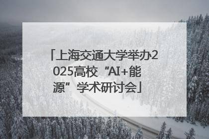 上海交通大学举办2025高校“AI+能源”学术研讨会