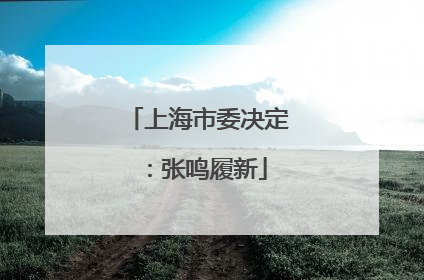 上海市委决定：张鸣履新