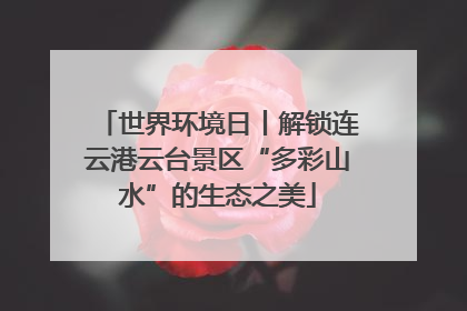世界环境日丨解锁连云港云台景区“多彩山水”的生态之美