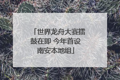 世界龙舟大赛擂鼓在即 今年首设南安本地组