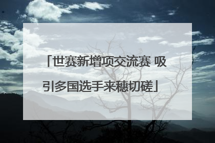 世赛新增项交流赛 吸引多国选手来穗切磋