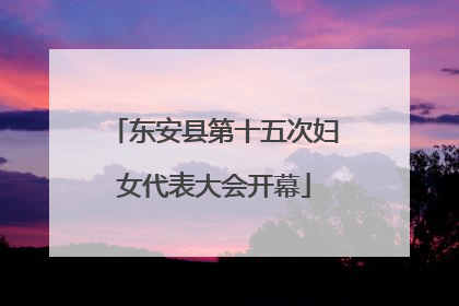 东安县第十五次妇女代表大会开幕