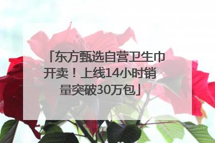 东方甄选自营卫生巾开卖！上线14小时销量突破30万包