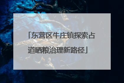 东营区牛庄镇探索占道晒粮治理新路径