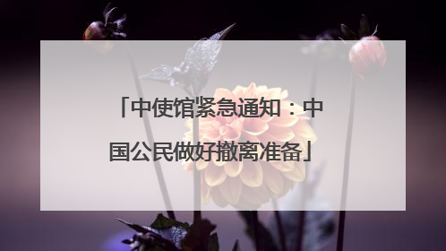 中使馆紧急通知：中国公民做好撤离准备