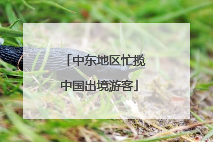 中东地区忙揽中国出境游客