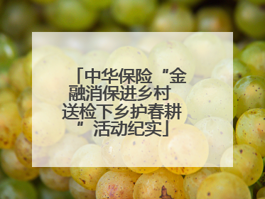 中华保险“金融消保进乡村 送检下乡护春耕”活动纪实
