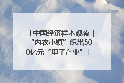中国经济样本观察｜“内衣小镇”织出500亿元“里子产业”