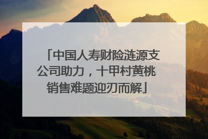 中国人寿财险涟源支公司助力，十甲村黄桃销售难题迎刃而解