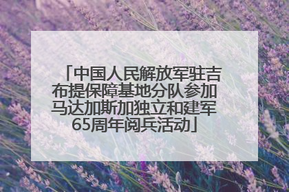 中国人民解放军驻吉布提保障基地分队参加马达加斯加独立和建军65周年阅兵活动
