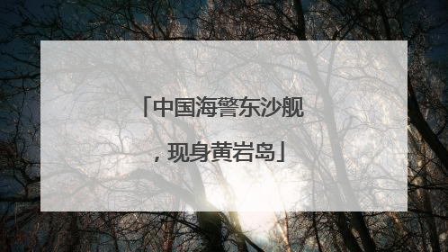 中国海警东沙舰，现身黄岩岛