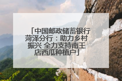 中国邮政储蓄银行菏泽分行：助力乡村振兴 全力支持南王店西瓜种植户
