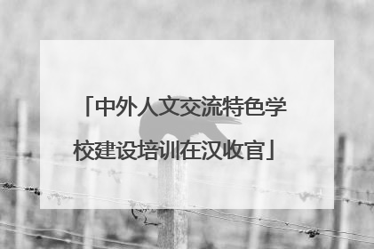 中外人文交流特色学校建设培训在汉收官