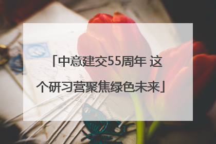 中意建交55周年 这个研习营聚焦绿色未来