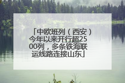 中欧班列（西安）今年以来开行超2500列，多条铁海联运线路连接山东
