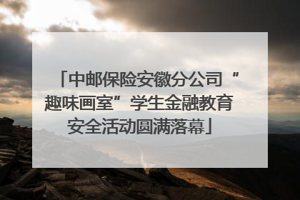 中邮保险安徽分公司“趣味画室”学生金融教育安全活动圆满落幕