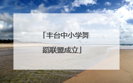 丰台中小学舞蹈联盟成立