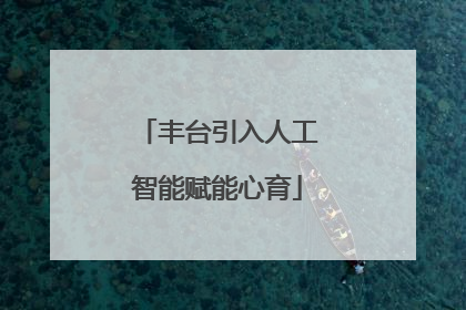 丰台引入人工智能赋能心育