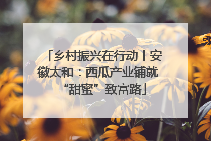 乡村振兴在行动丨安徽太和：西瓜产业铺就“甜蜜”致富路