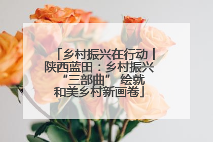 乡村振兴在行动丨陕西蓝田：乡村振兴 “三部曲” 绘就和美乡村新画卷