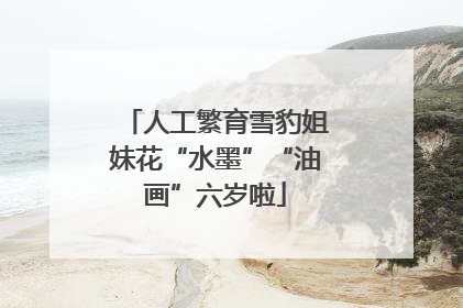 人工繁育雪豹姐妹花“水墨”“油画”六岁啦
