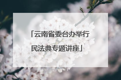 云南省委台办举行民法典专题讲座
