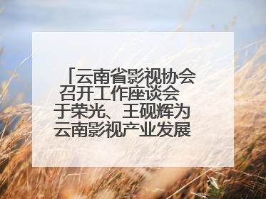 云南省影视协会召开工作座谈会 于荣光、王砚辉为云南影视产业发展出谋划策